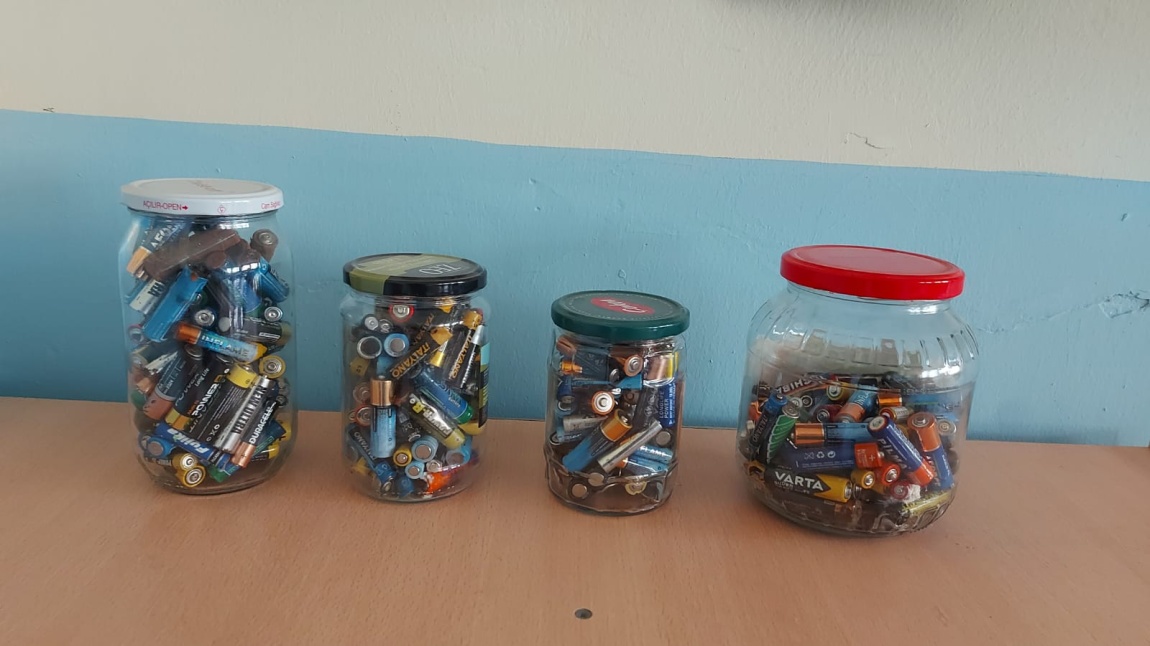 Atık Pilleri Toplama Etkinliği